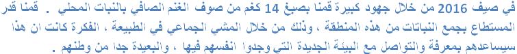 arab_9